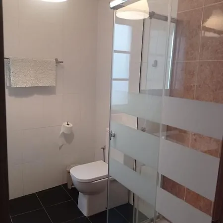 公寓 2 Con Parking 奥维耶多